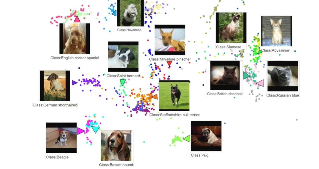 Il pacchetto Python TensorFlow Similarity